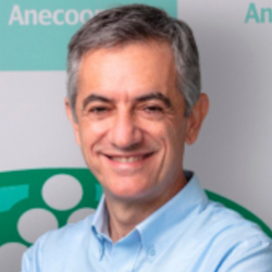 Ángel del Pino Gracia