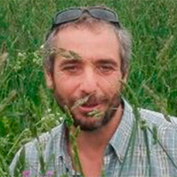 Gustavo Alés Villarán