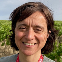 María del Mar Alsina Marti