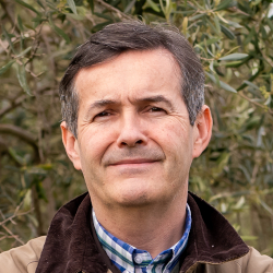 Moisés Caballero Páez