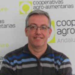 César Díaz Barroso