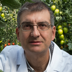 Juan José Magán Cañadas